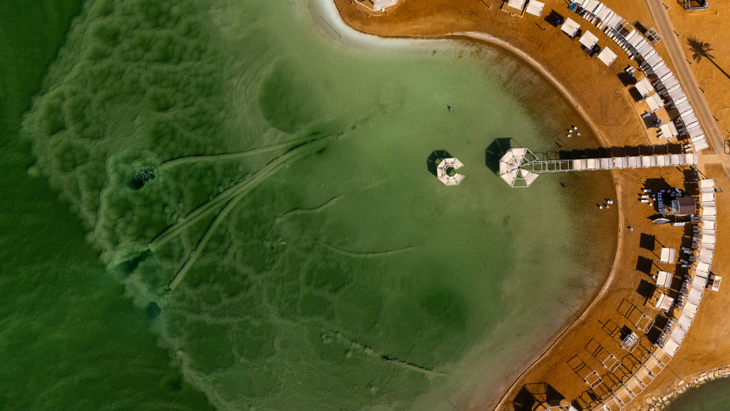 Cabanas along a pastel Dead Sea lagoon, fine art print