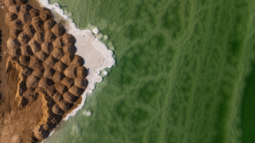 Scale-like salt crusts at the Dead Sea edge, fine art print