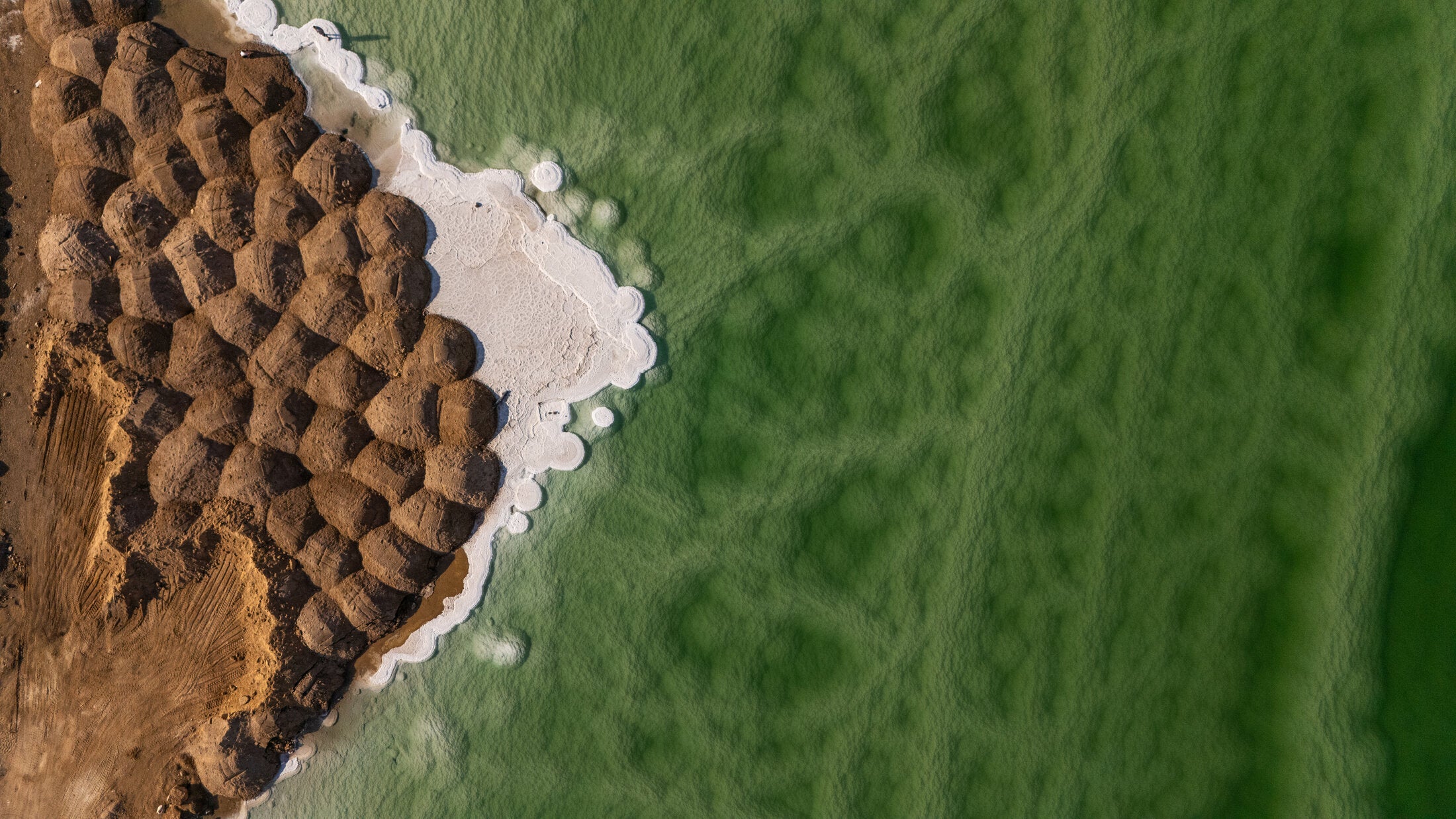 Scale-like salt crusts at the Dead Sea edge, fine art print