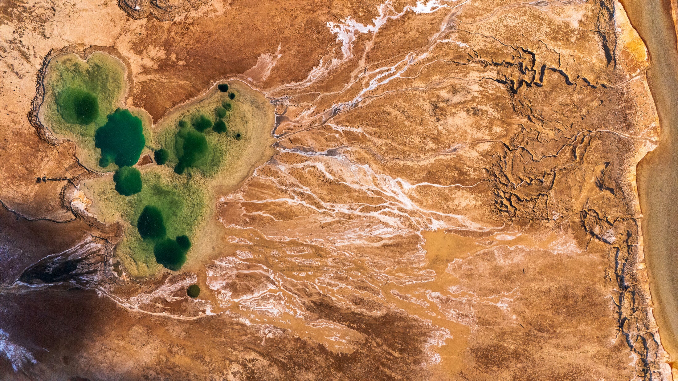 Three turquoise pools in a salt flat, fine art print