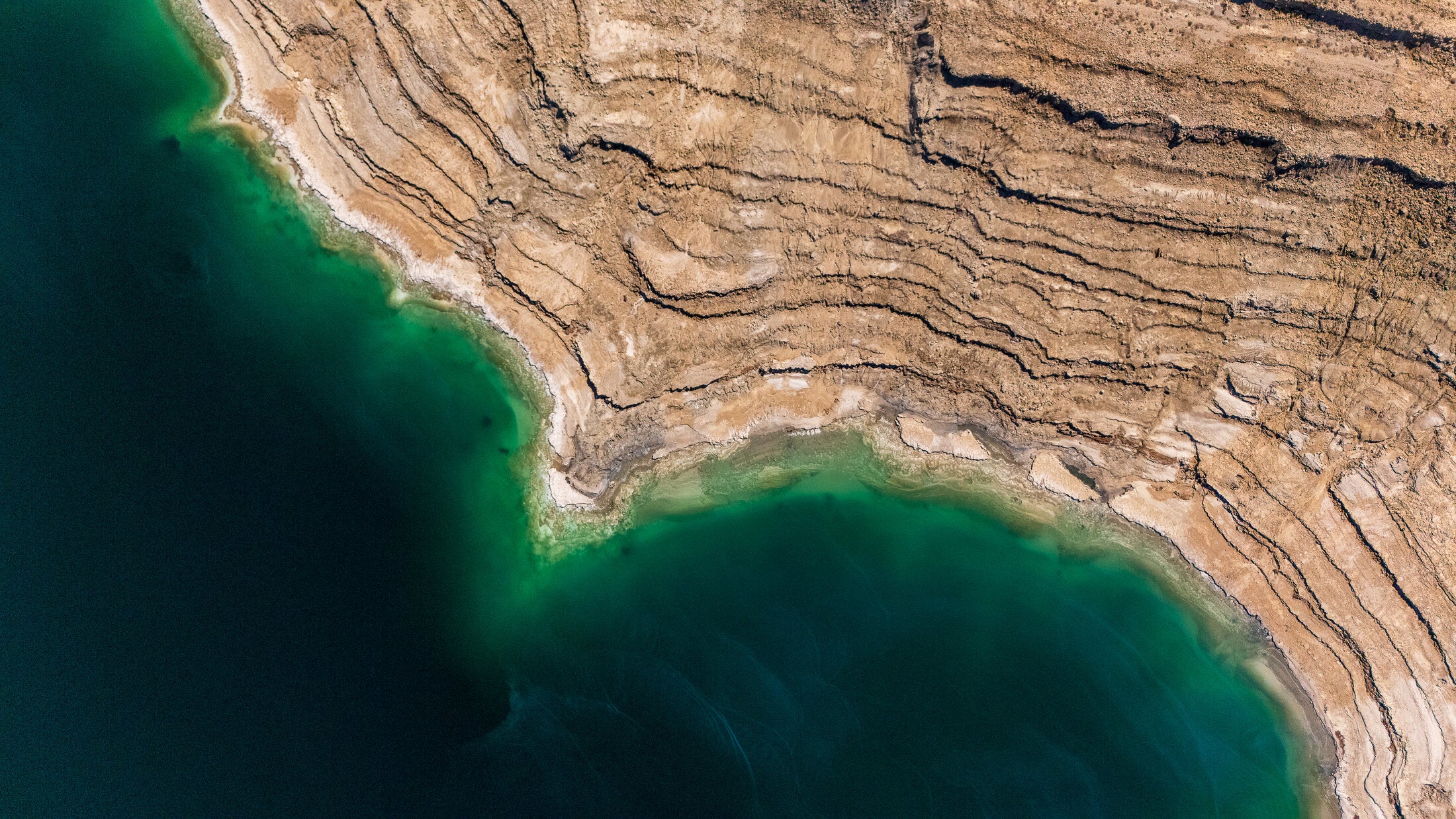 Yellow algae bloom in Dead Sea shallows, fine art print