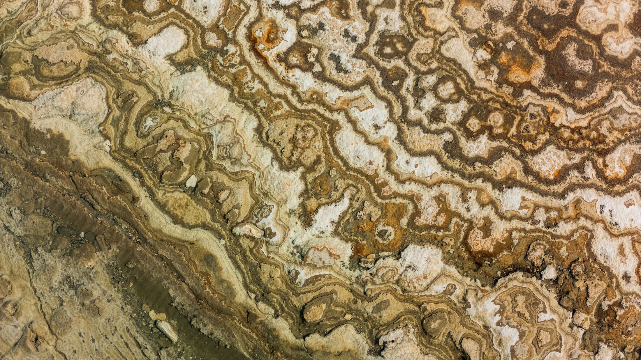Woven mineral deposits on a salt flat, fine art print