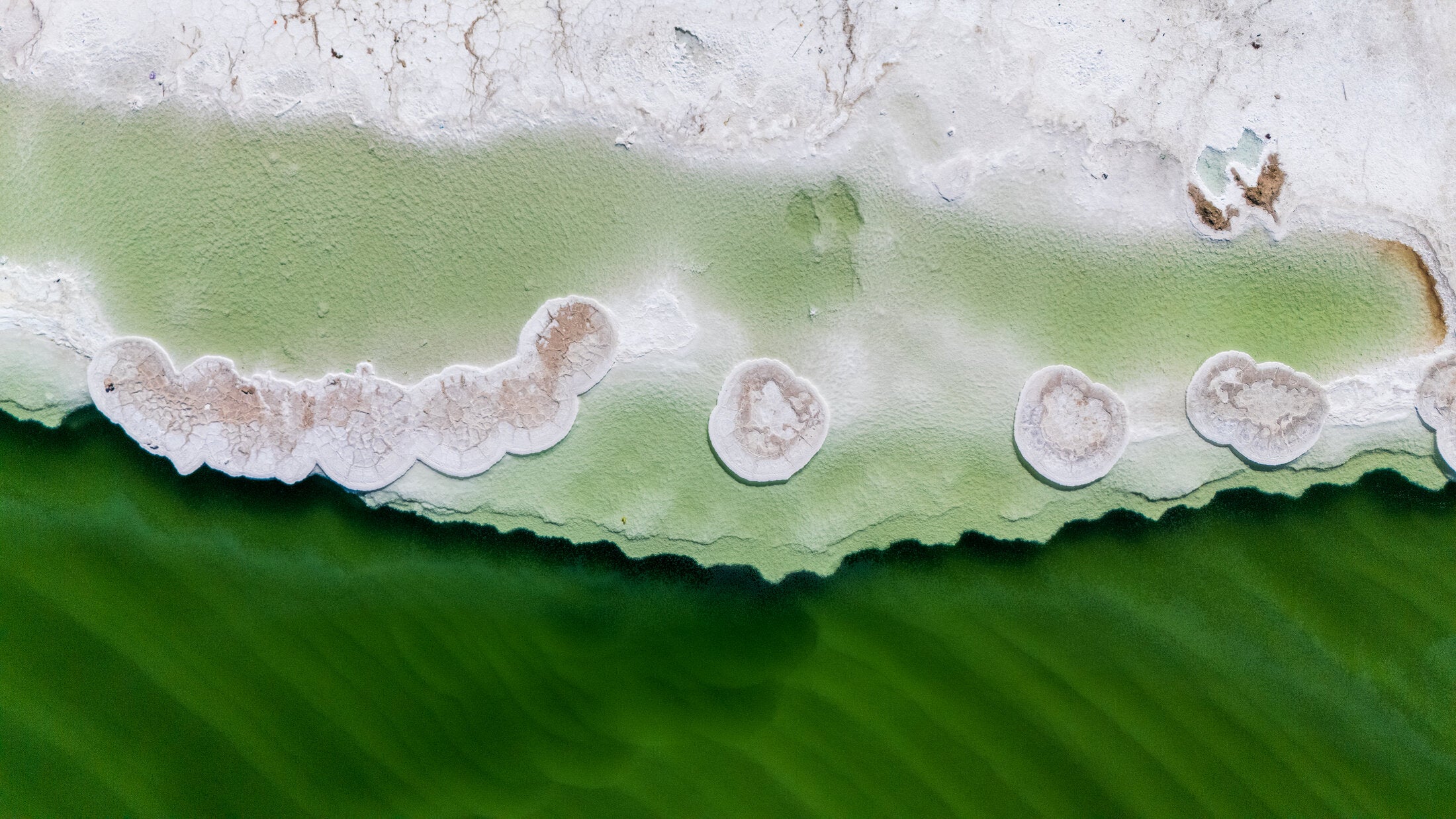 Marbled mineral sediment in shallow water, fine art print