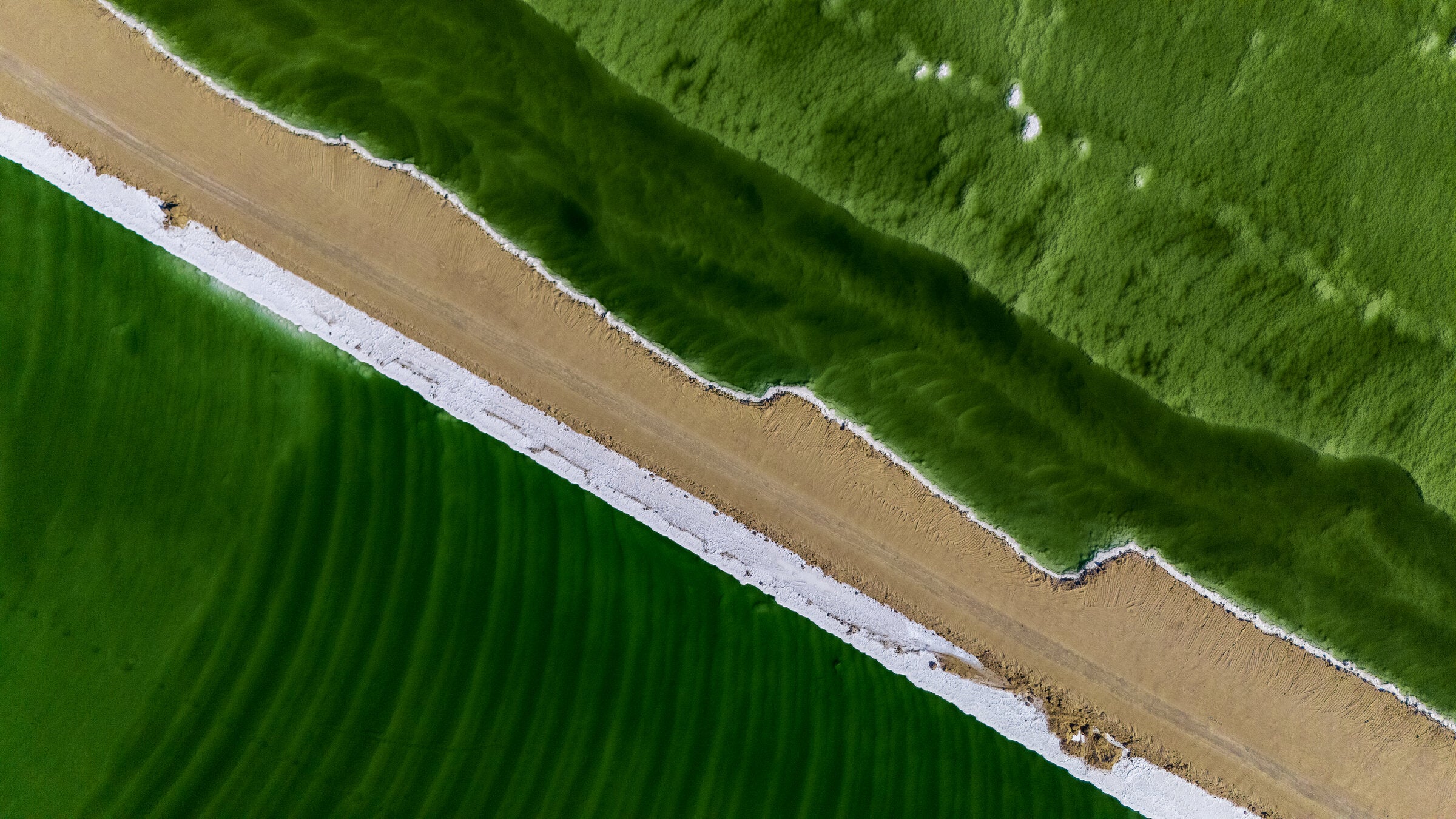 Diagonal line dividing Dead Sea water and shore, fine art print