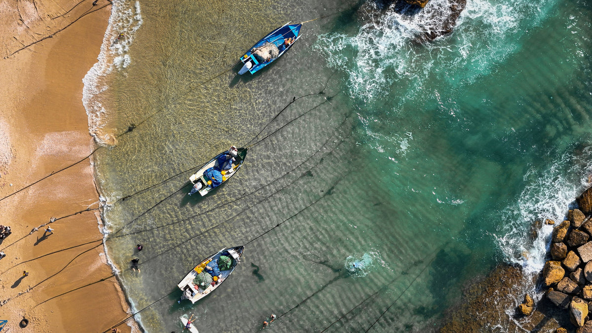 Boats at Shore