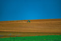 Tractor cutting a golden wheat field, fine art print