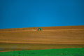 Harvest Line