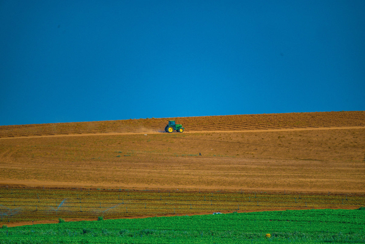 Harvest Line