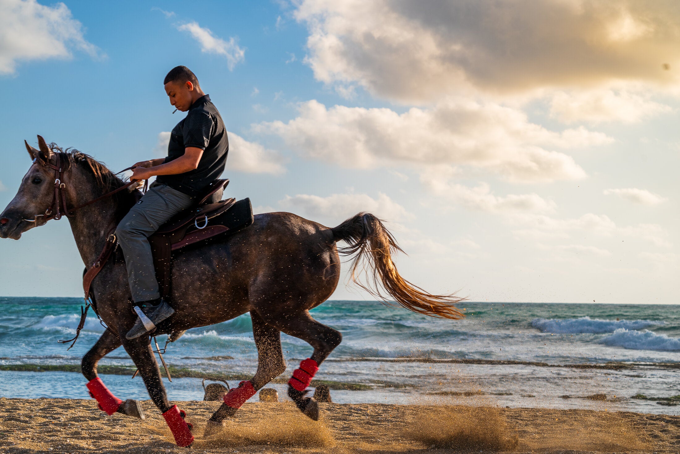 Horse and rider on wet sand at low tide, fine art print