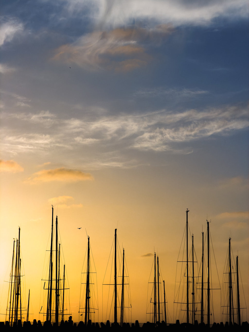 Sailboat masts in a harbor at dusk, fine art print