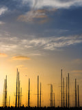 Harbor at Dusk