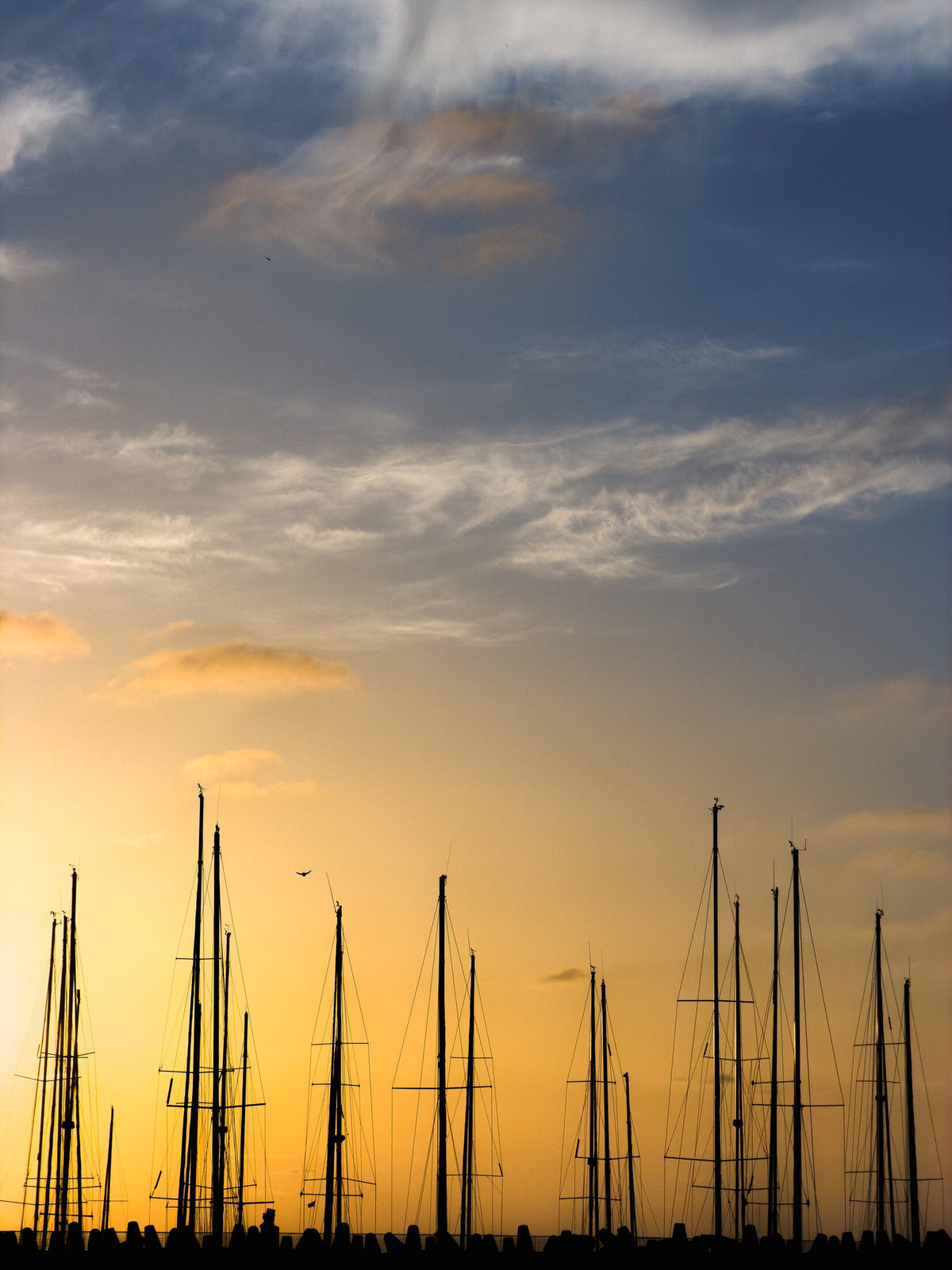 Harbor at Dusk