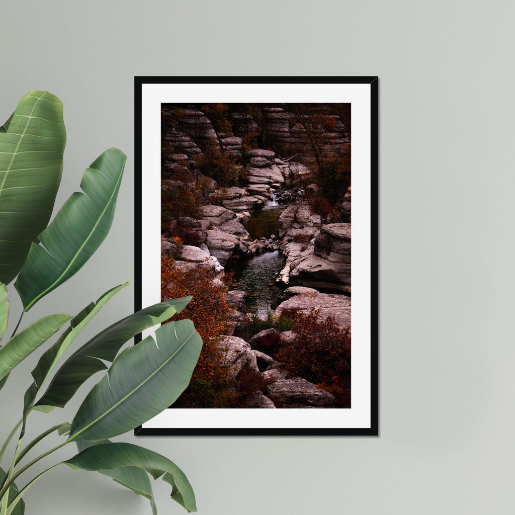 Autumn Ravine fine art print displayed in a living room