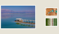 Dead Sea Trio collage preview