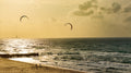 Kite surfers along a hazy coastline, fine art print