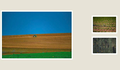 Harvest Fields Trio collage preview