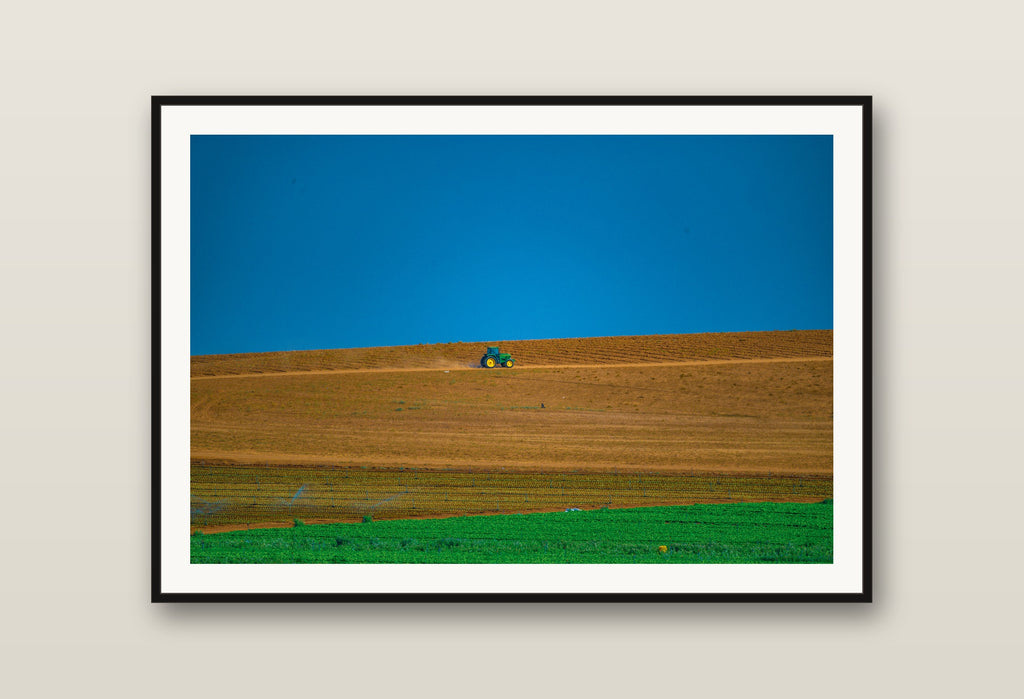 Harvest Line fine art print mockup on a wall