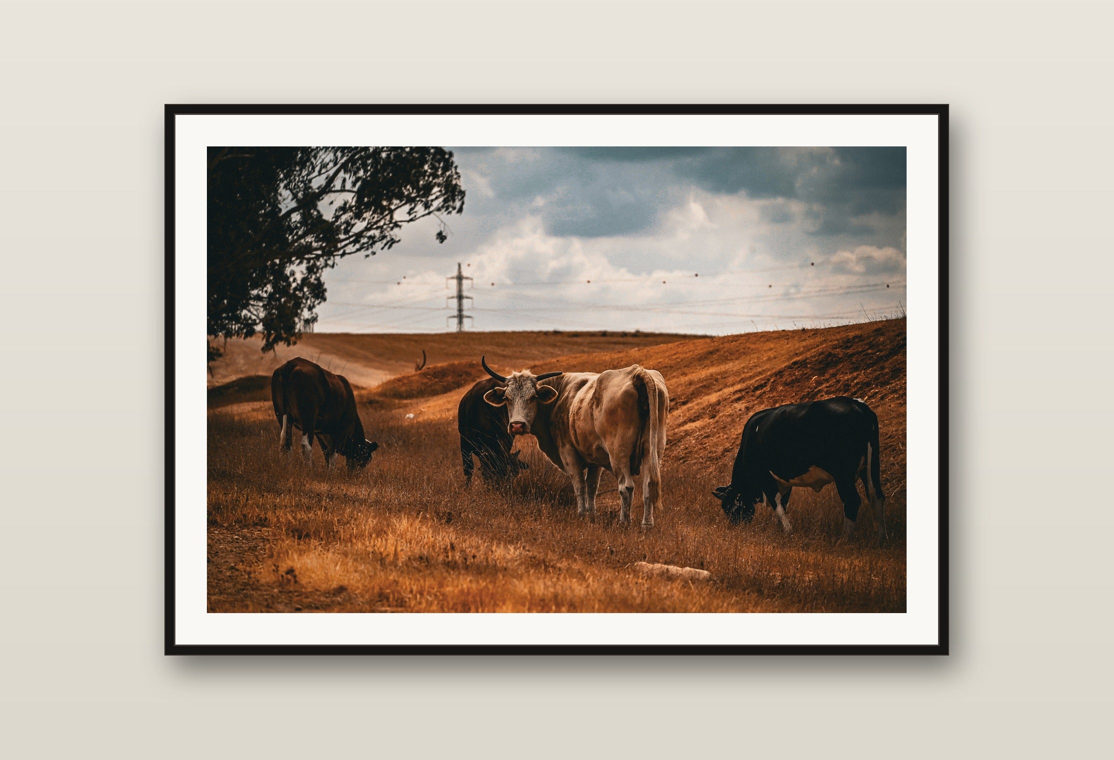 Herd at Rest fine art print mockup on a wall