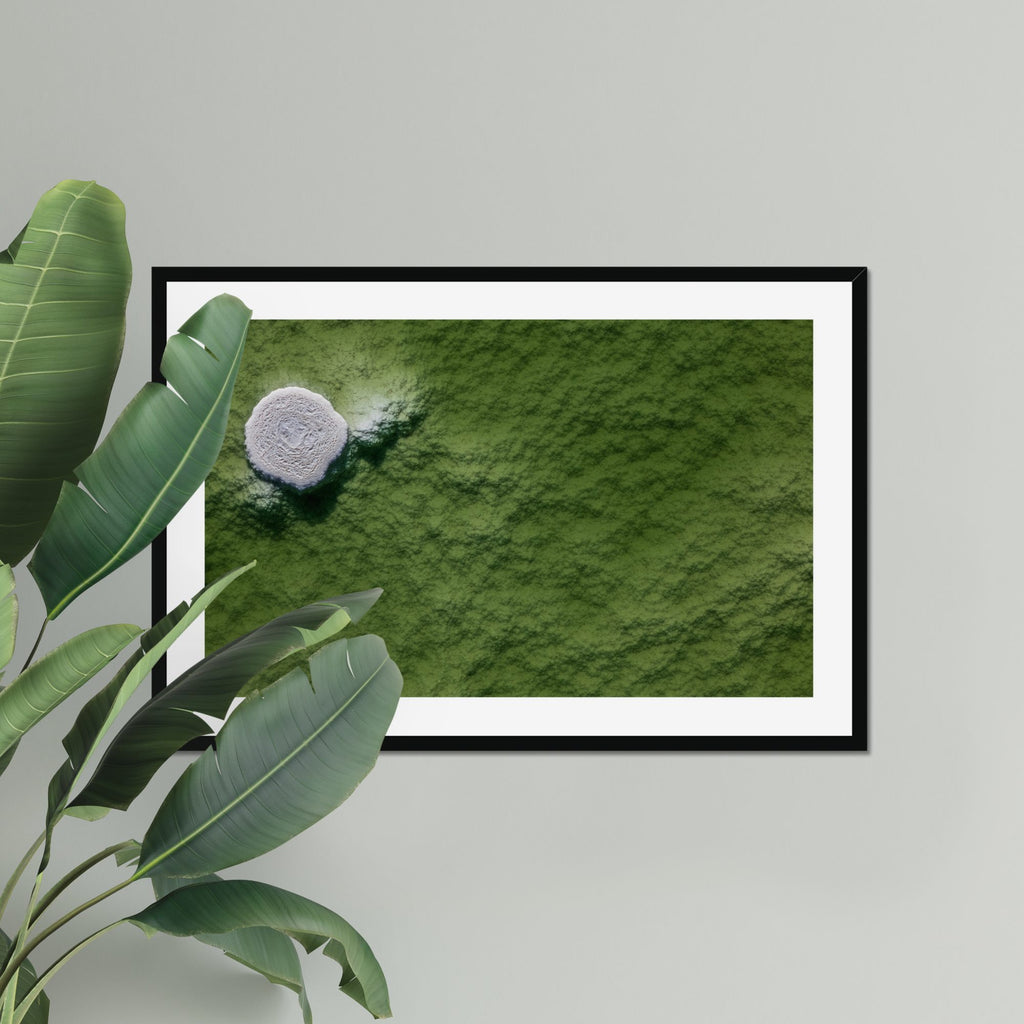Lone Formation fine art print displayed in a living room