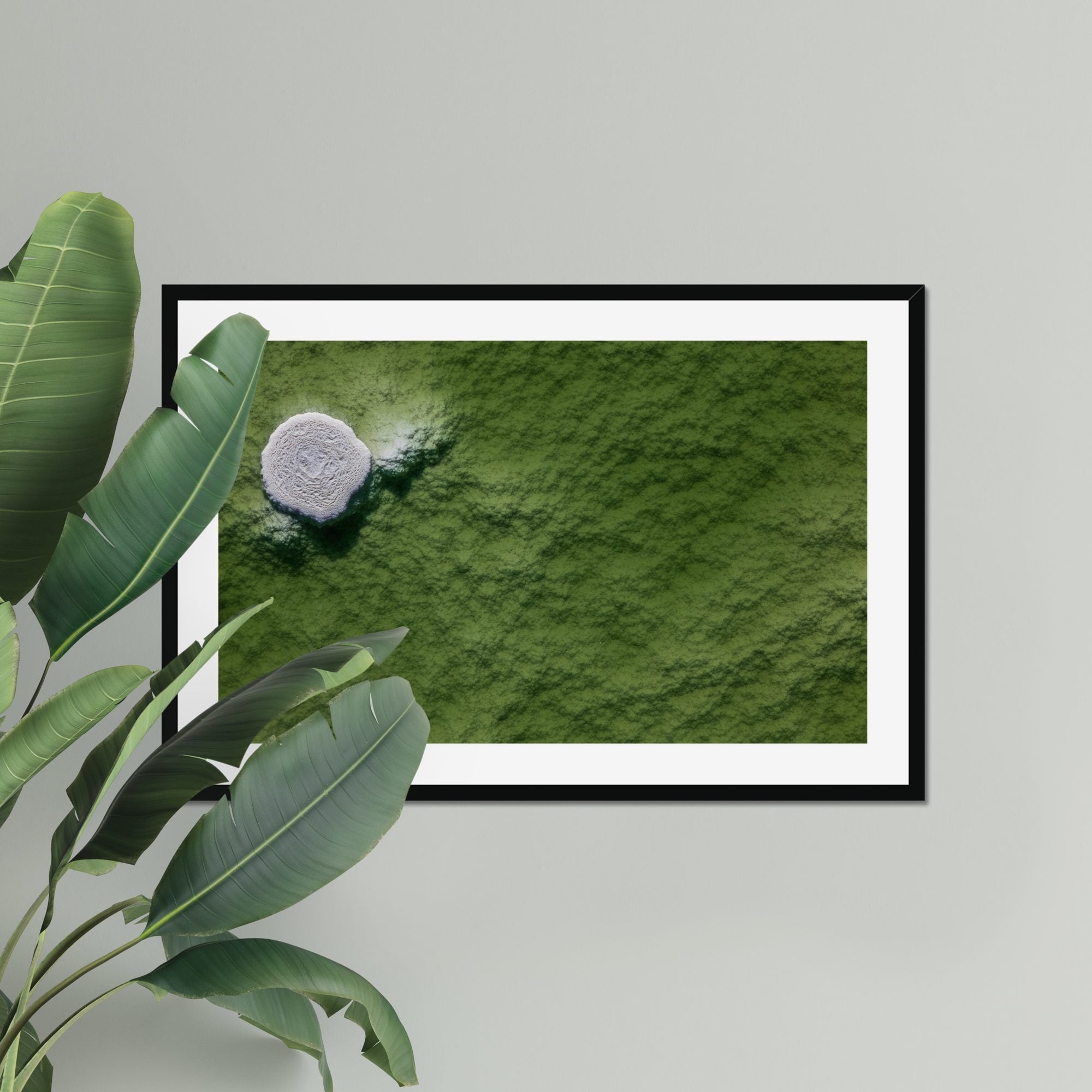 Lone Formation fine art print displayed in a living room