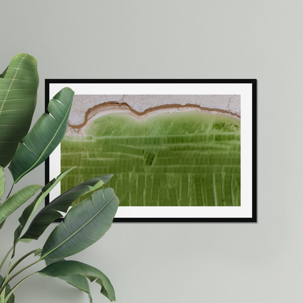 Salt Line fine art print displayed in a living room