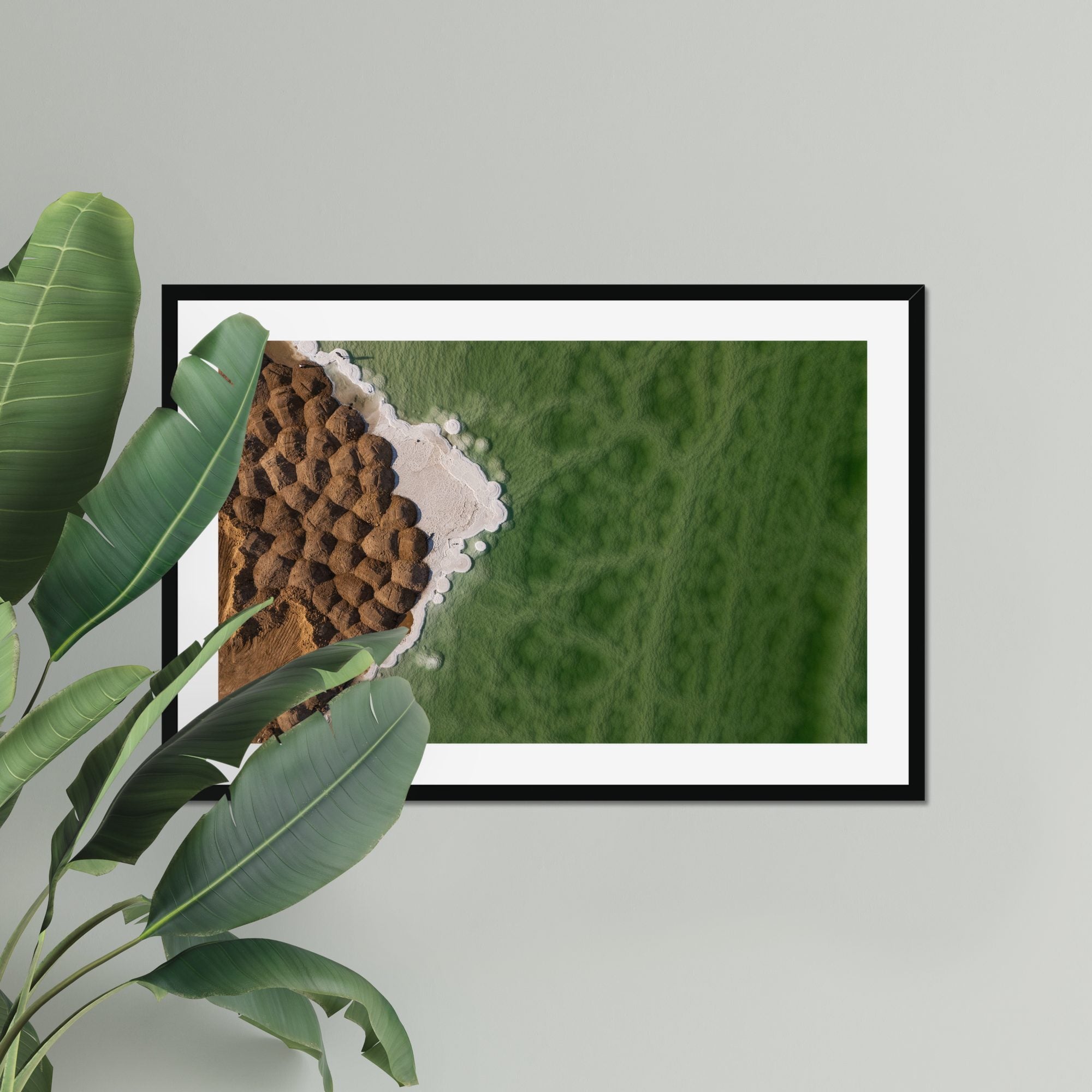 Salt Scales fine art print displayed in a living room