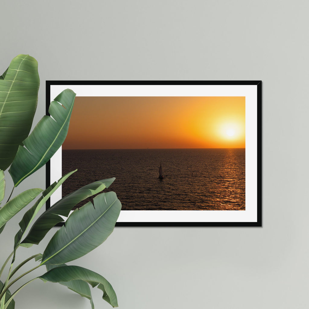 Solo Sail fine art print displayed in a living room