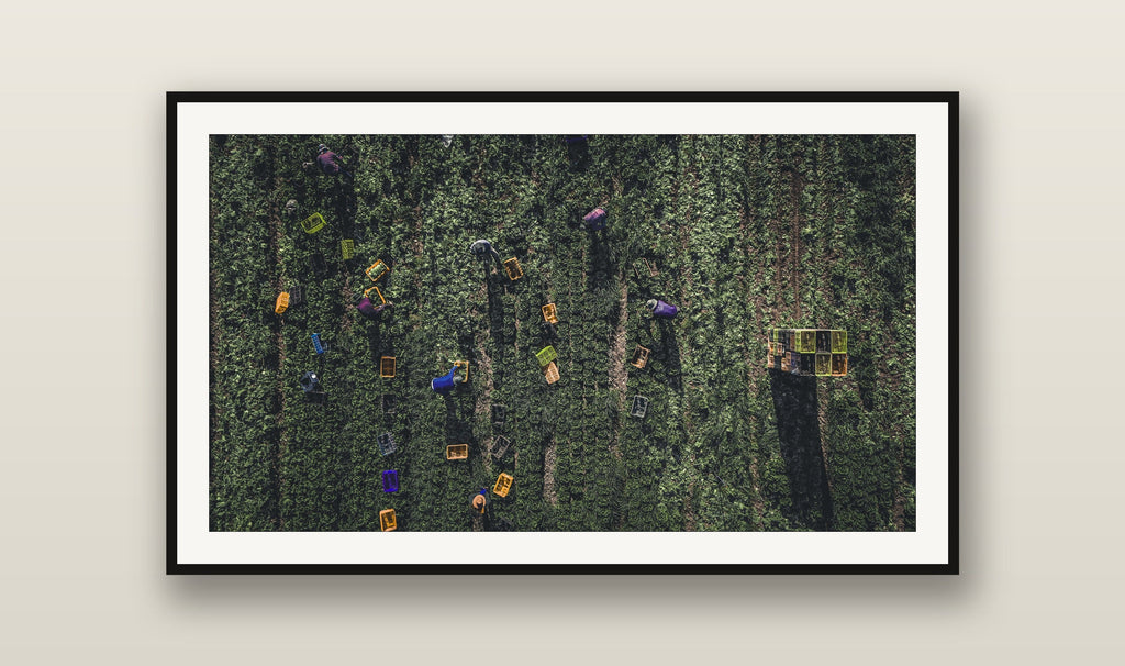 The Harvest fine art print mockup on a wall