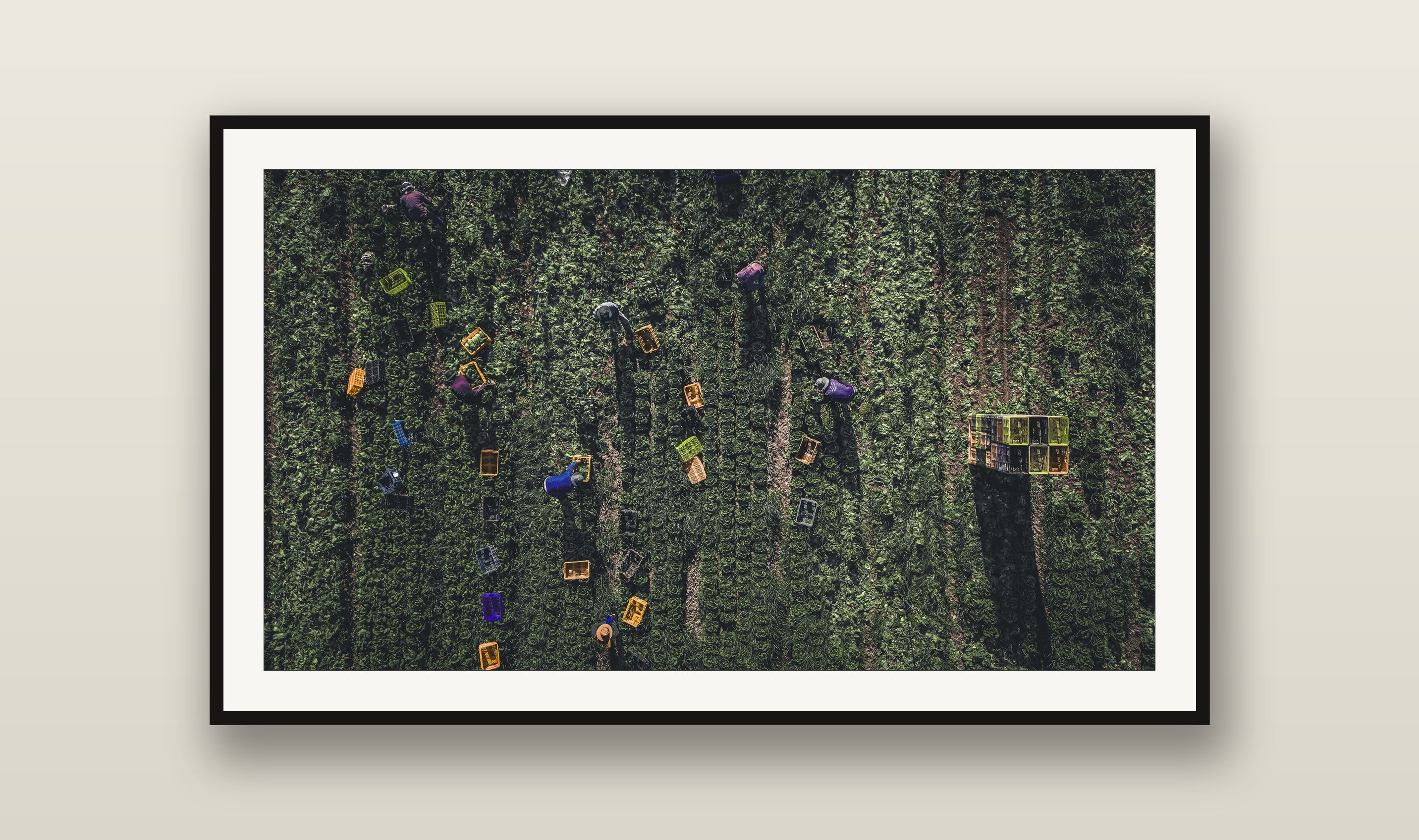 The Harvest fine art print mockup on a wall