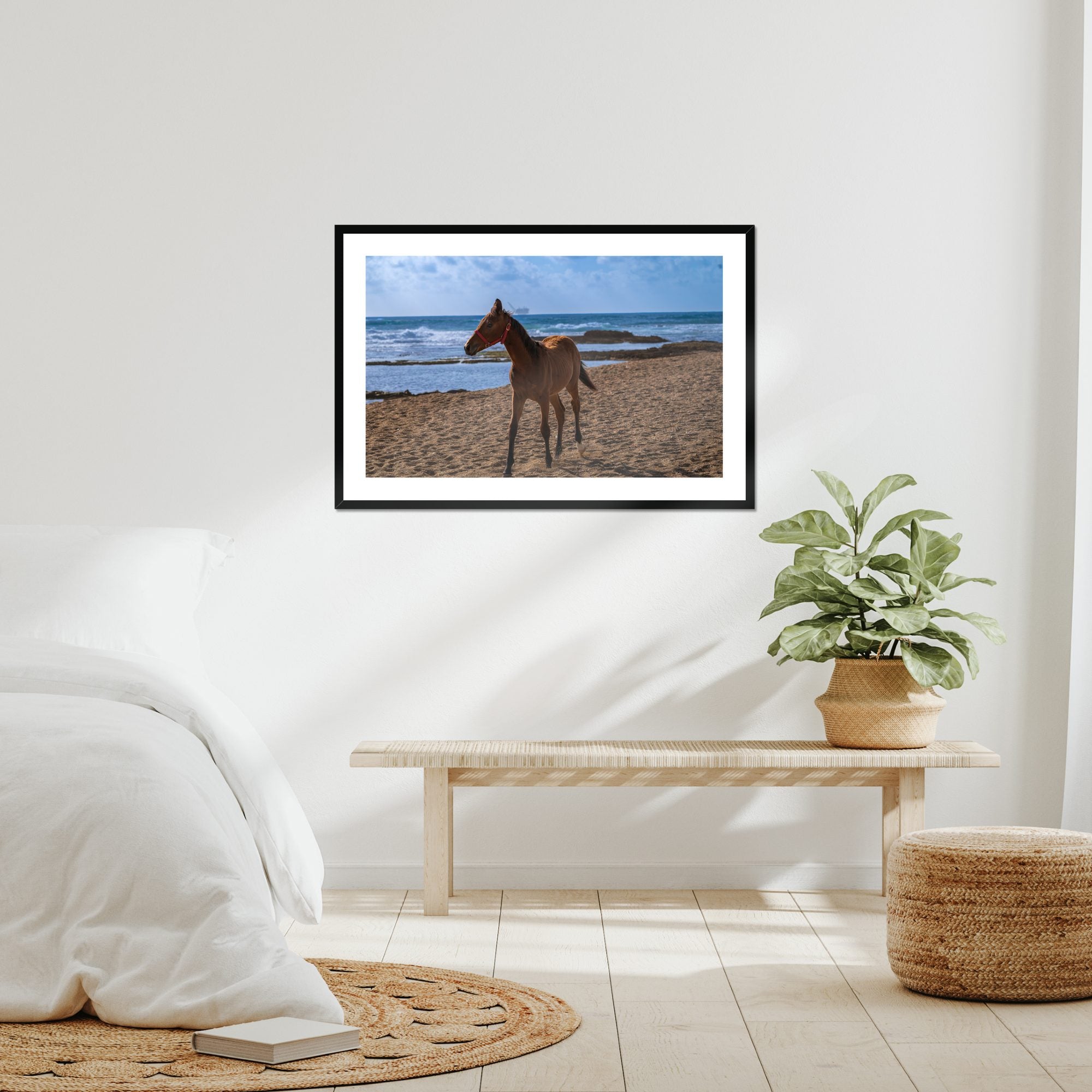 Young Foal fine art print displayed in a living room