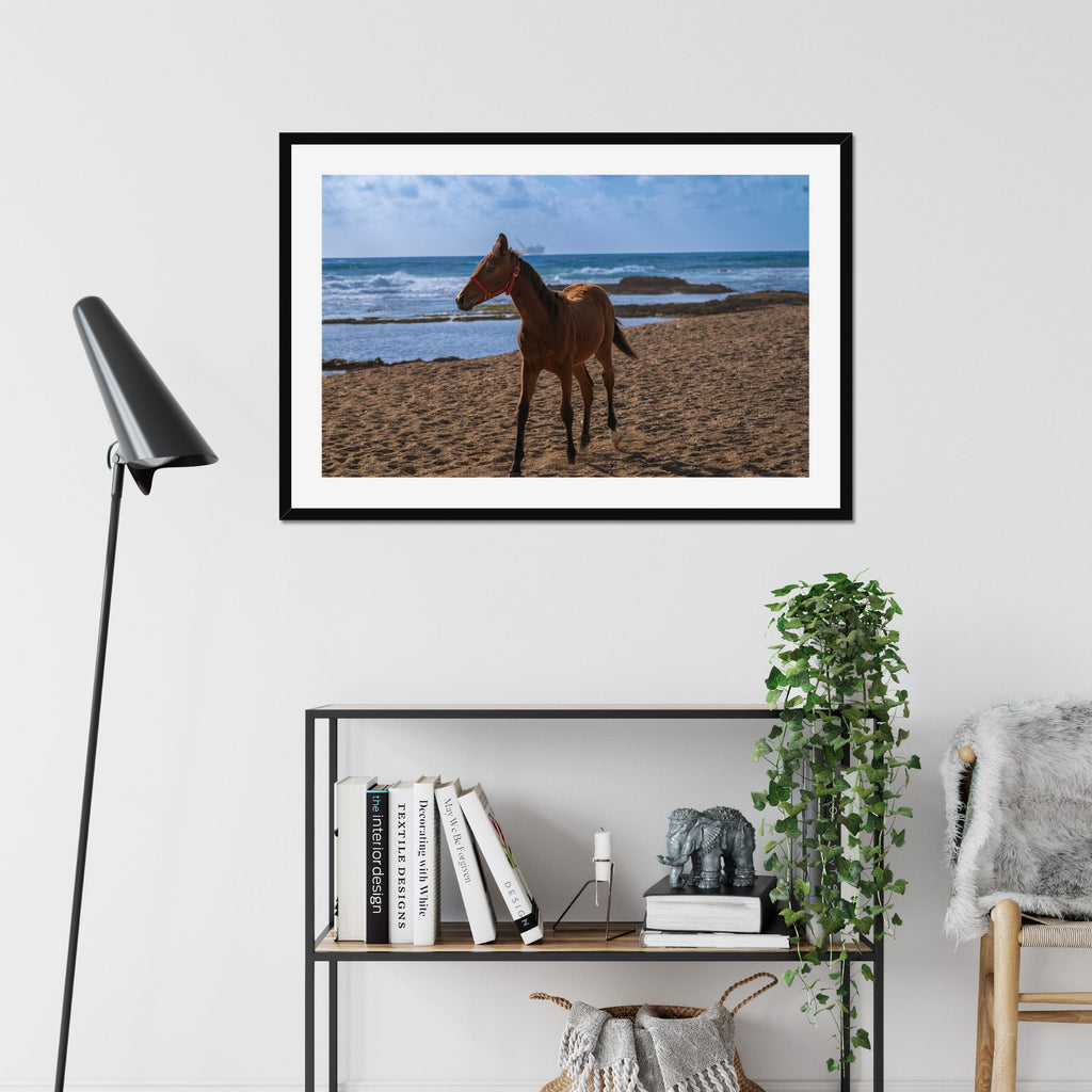 Young Foal fine art print displayed in a living room