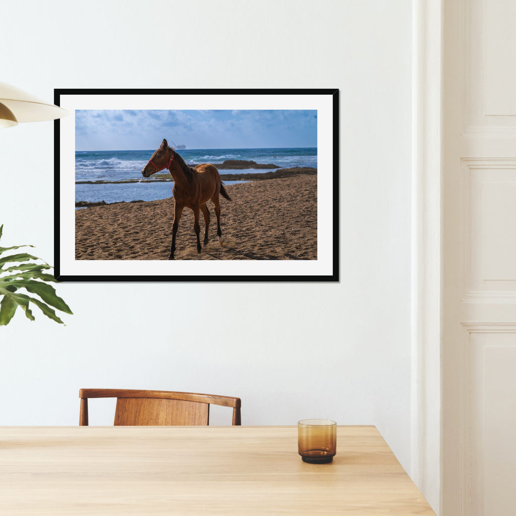 Young Foal fine art print displayed in a living room