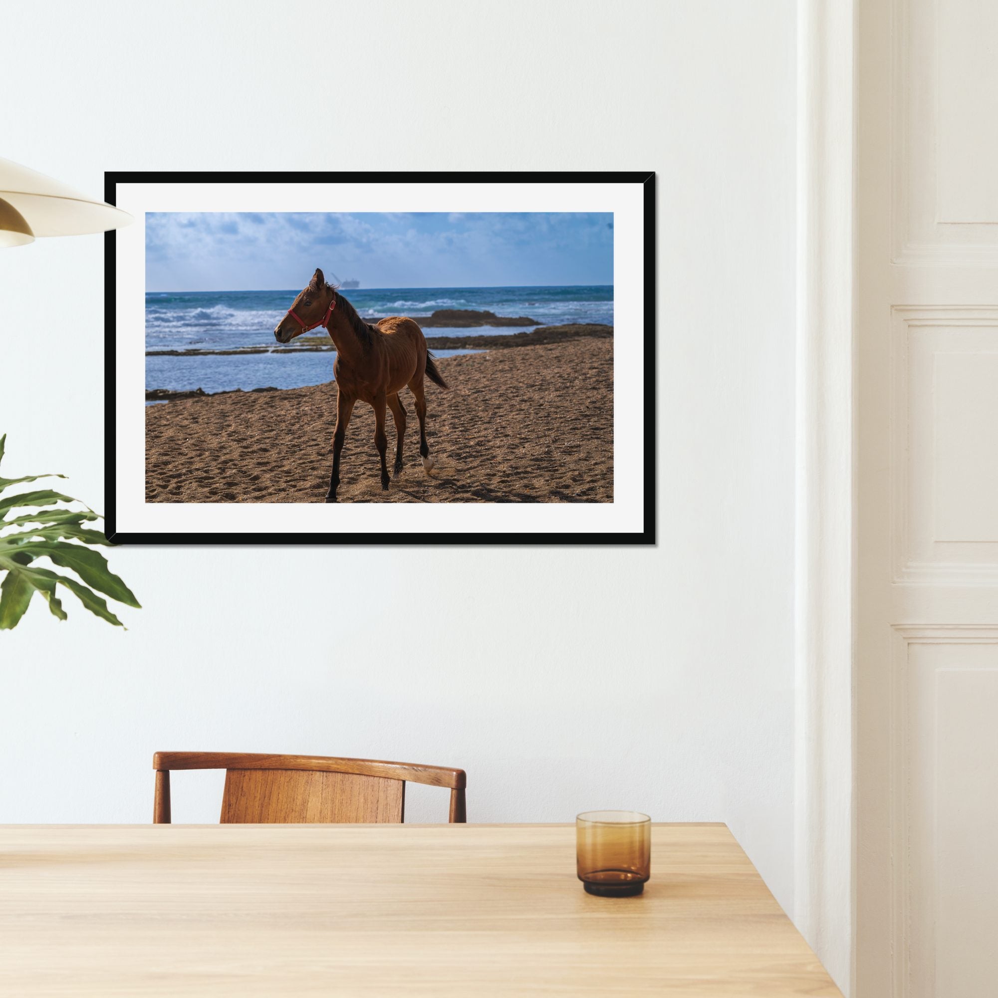Young Foal fine art print displayed in a living room