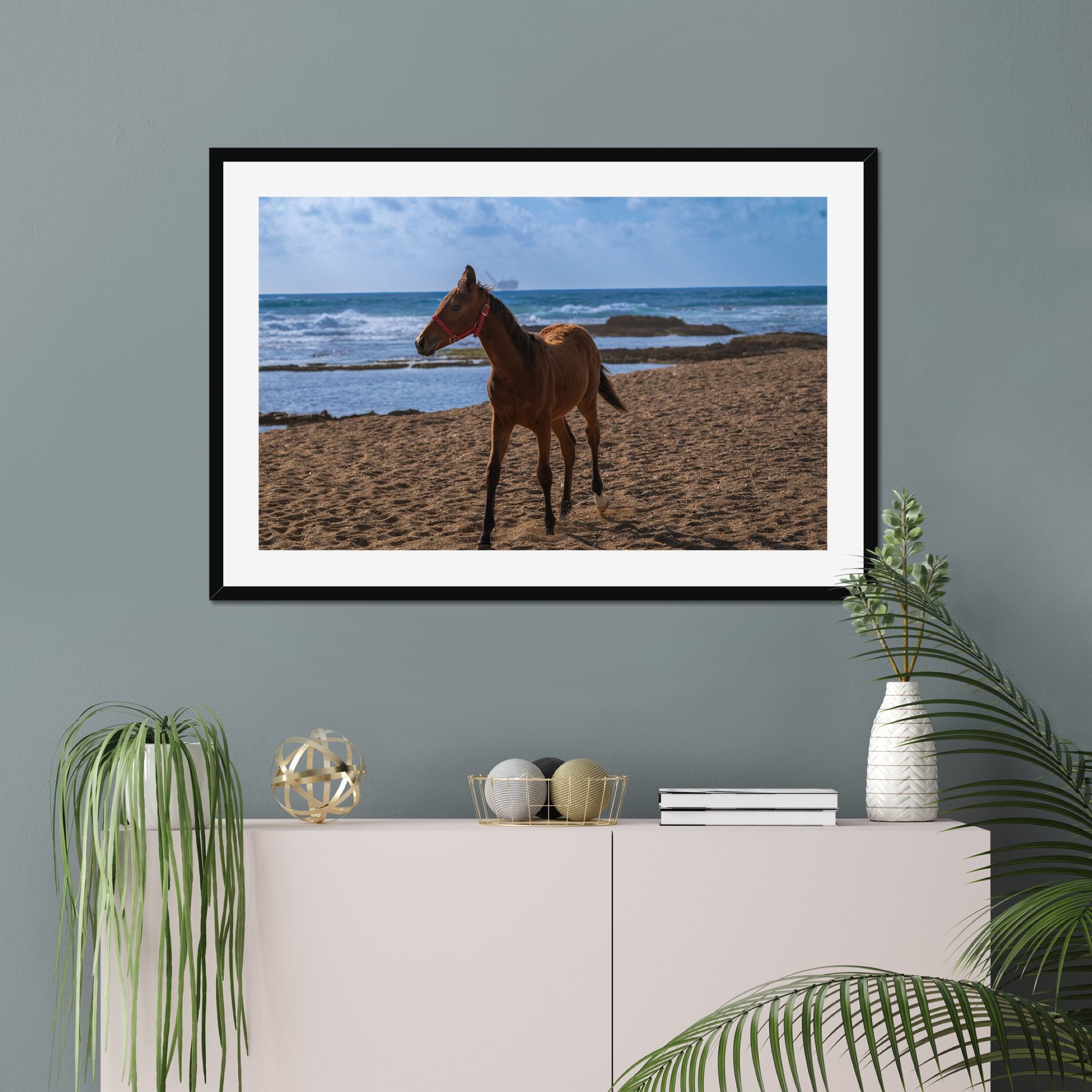 Young Foal fine art print displayed in a living room