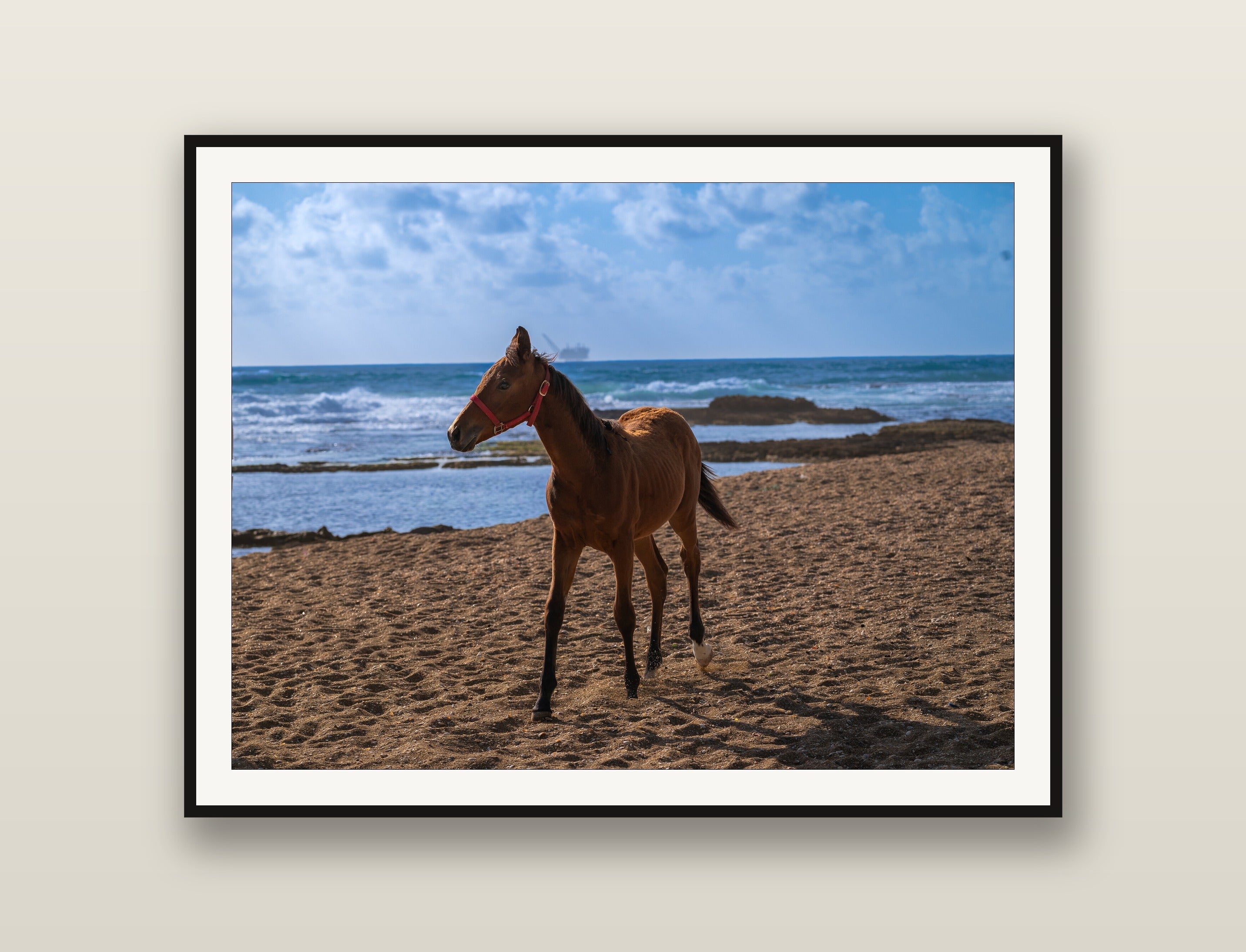 Young Foal fine art print mockup on a wall